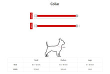 Load image into Gallery viewer, Autumn Collar
